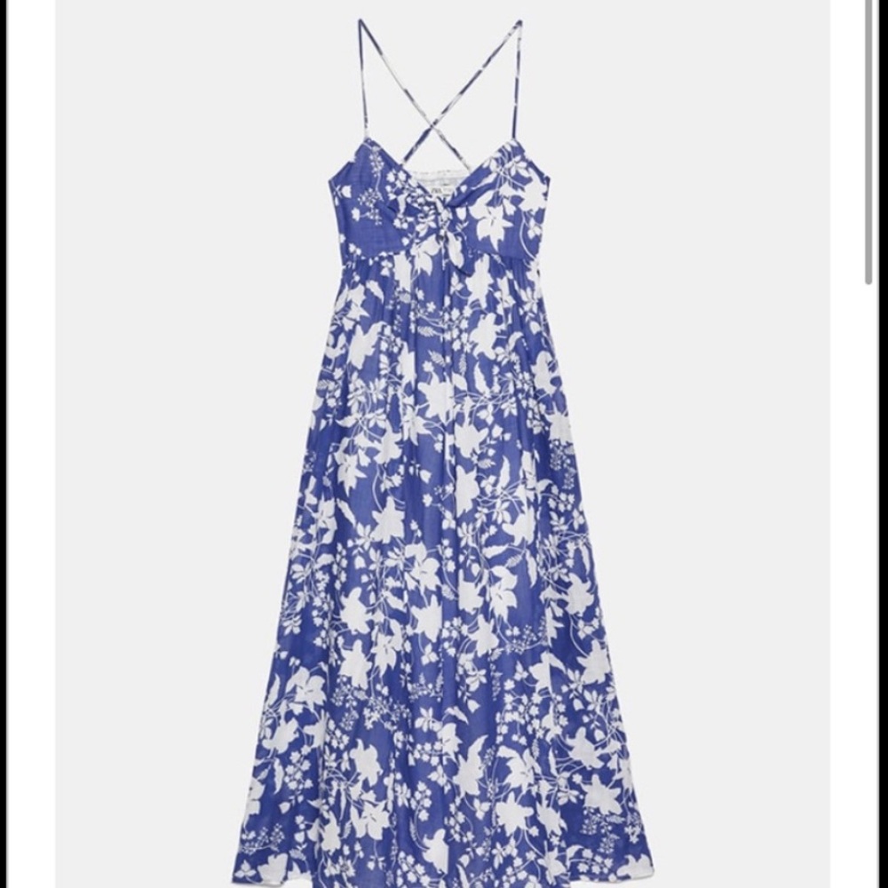 Zara Blue Floral Maxi Dress